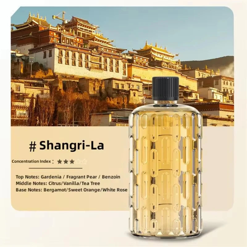 180ML Aroma Diffuser & Air Humidifier with Colour-Changing Lights